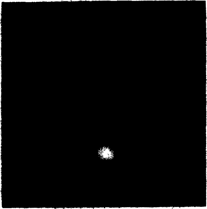 Positive computerized tomography restoration method for multi-phase horizontal set