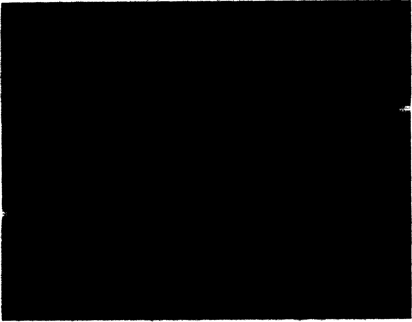 Positive computerized tomography restoration method for multi-phase horizontal set