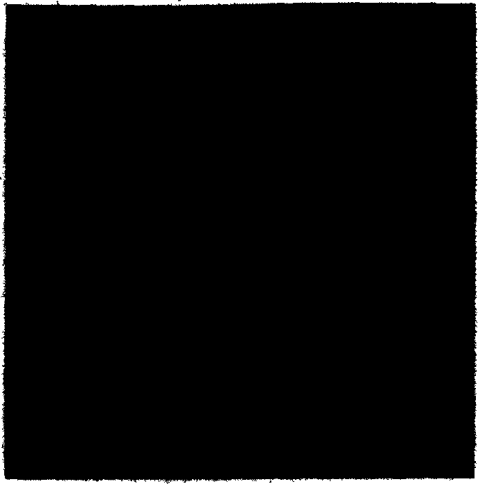 Positive computerized tomography restoration method for multi-phase horizontal set