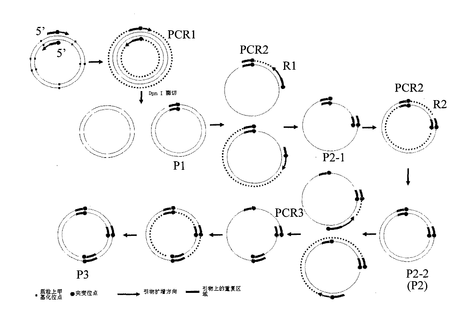 Gene site-directed multi-site mutation method