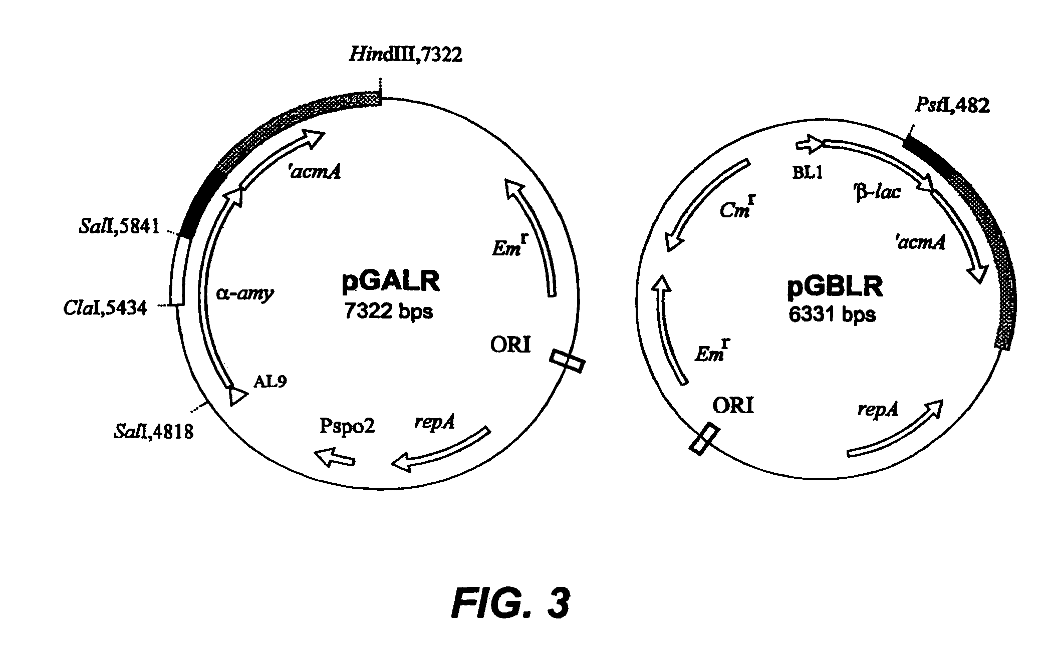 Attaching substances to microorganisms