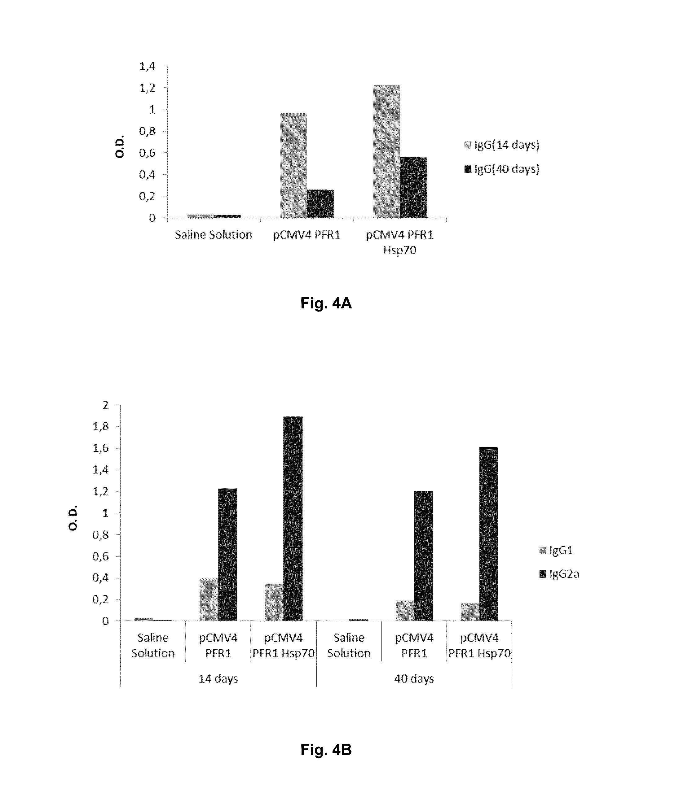 Chimeric molecule useful in immunotherapy for leishmaniasis, which includes a fragment of the pfr1 protein of leishmania infantum with specific immunodominant epitopes