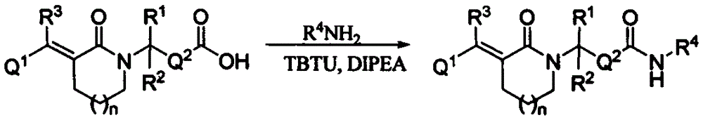 Lactam histone deacetylase inhibitors