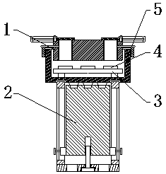 LED light source lens device