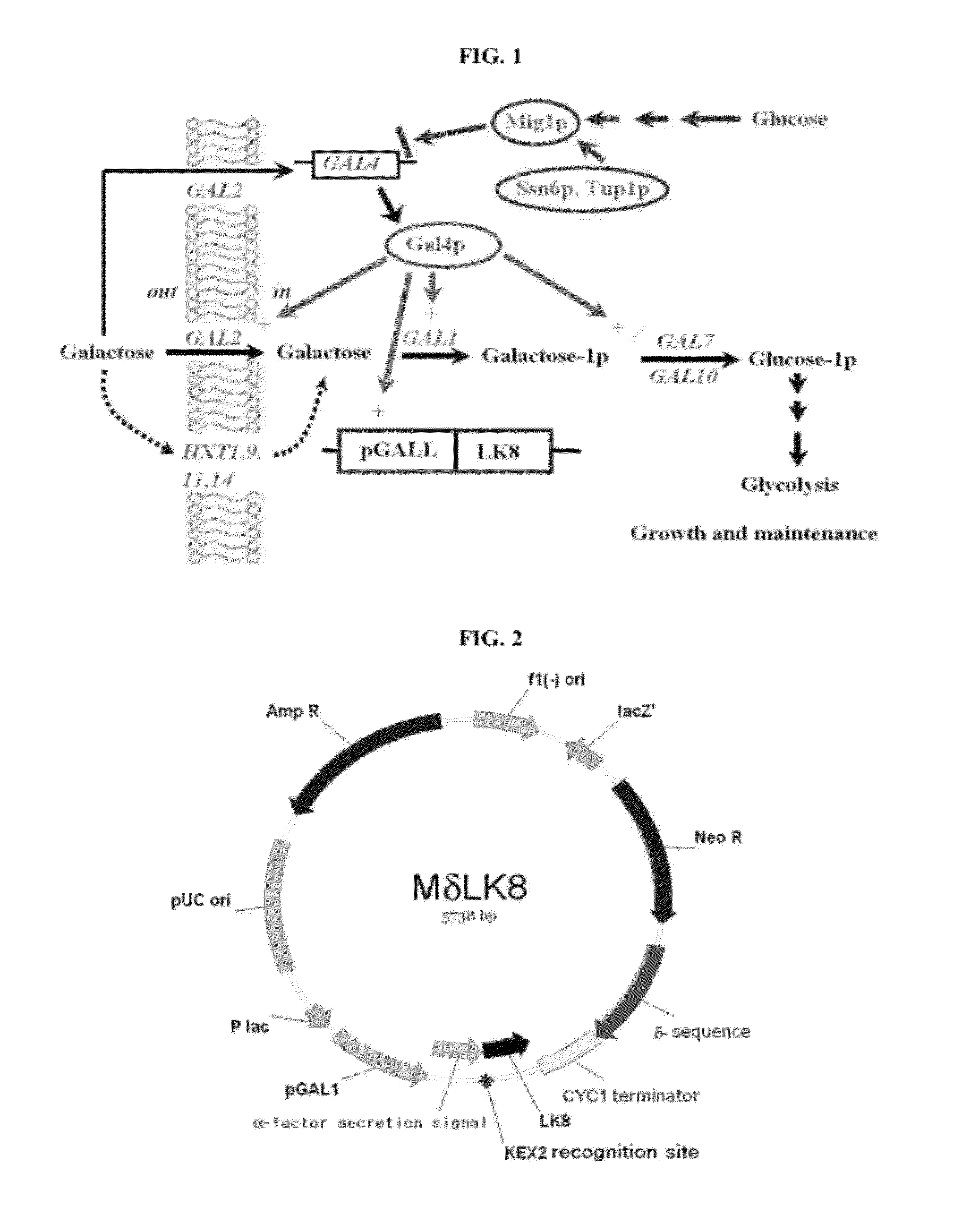 Methods for enhancing a secretion efficiency of recombinant foreign protein in yeast expression system