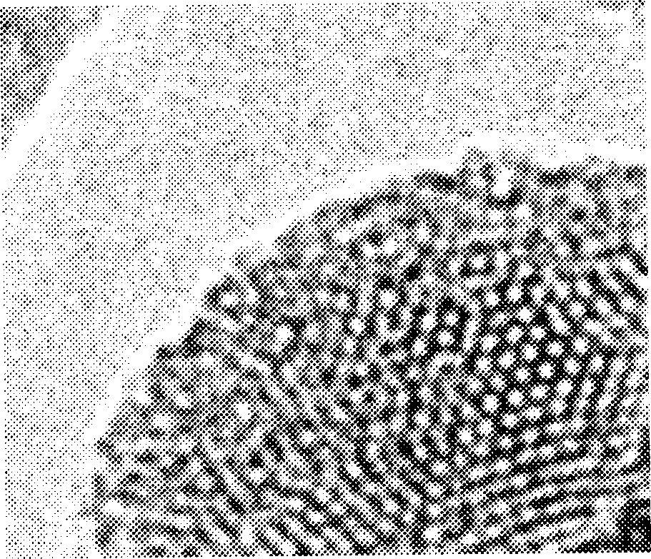 Compsn. of agricultural pesticide and preparation method