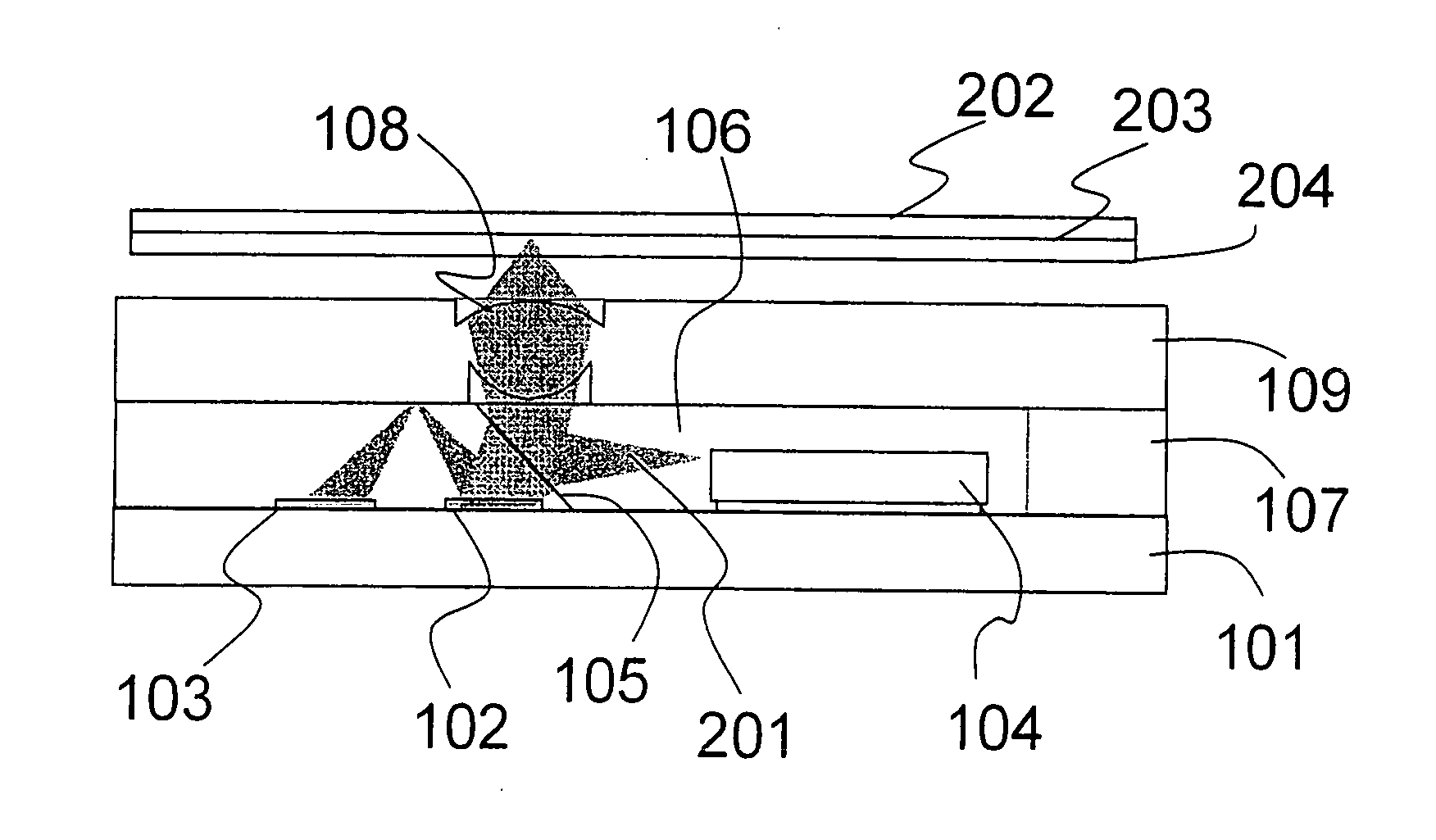 Optical head, optical information storage apparatus, and their fabrication method