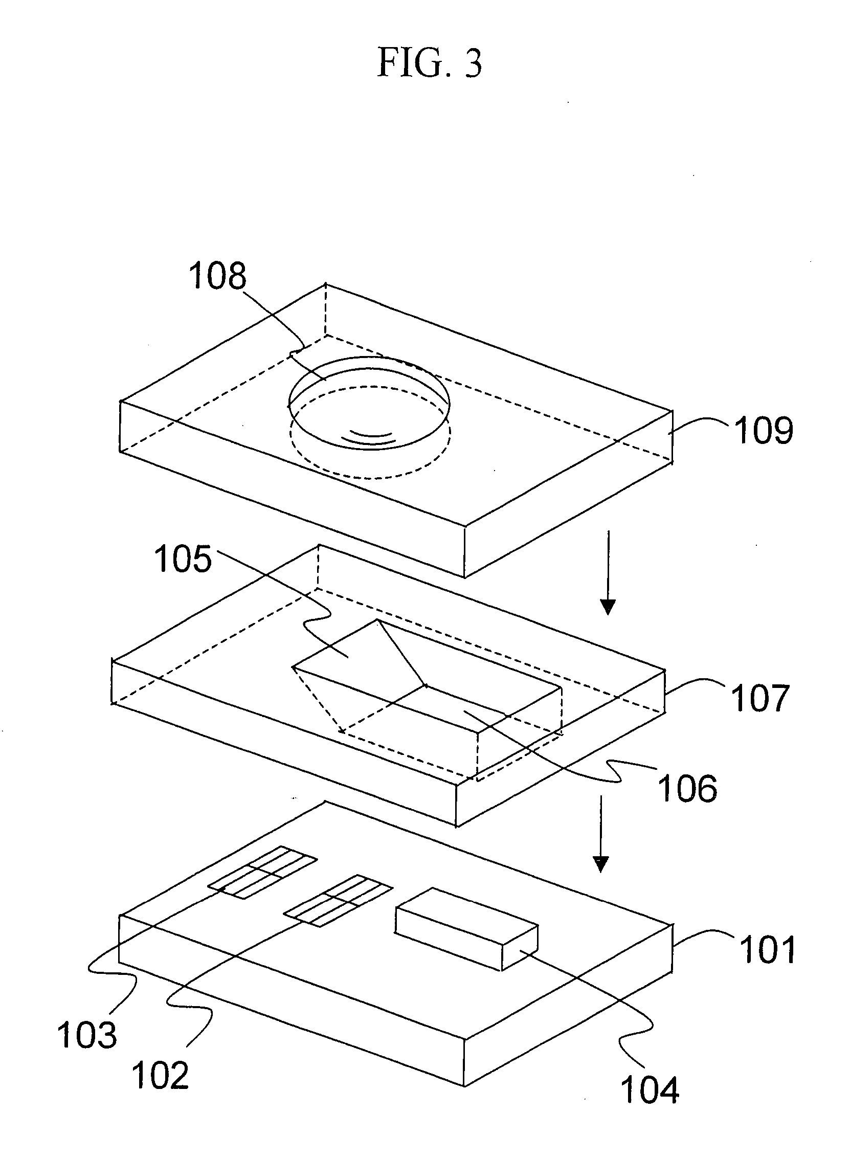 Optical head, optical information storage apparatus, and their fabrication method