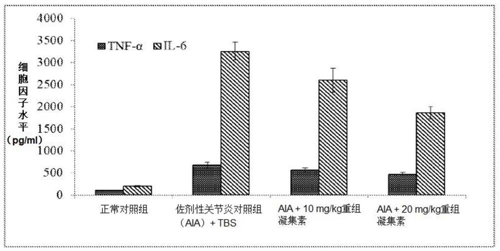 Protein for treatment of inflammatory diseases