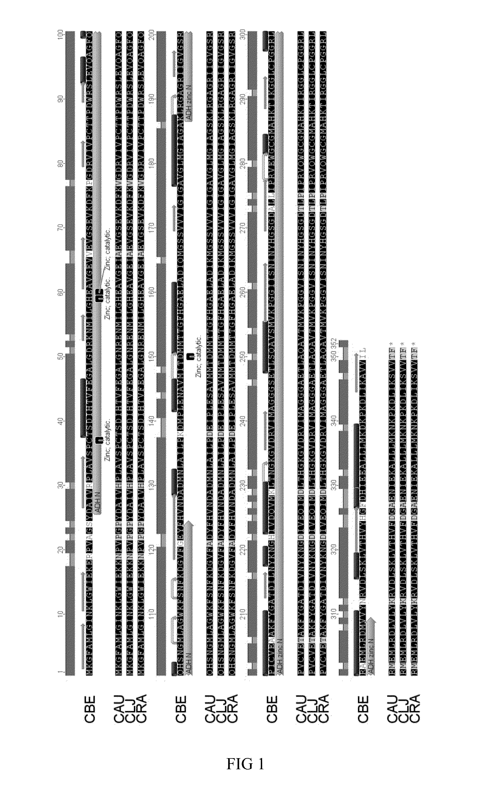 Recombinant microorganisms and uses therefor