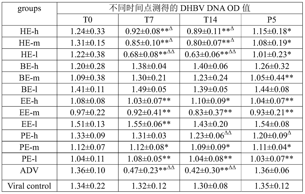 Red back leaf root extract, preparation method and application in preparation of medicine for treating hepatitis B