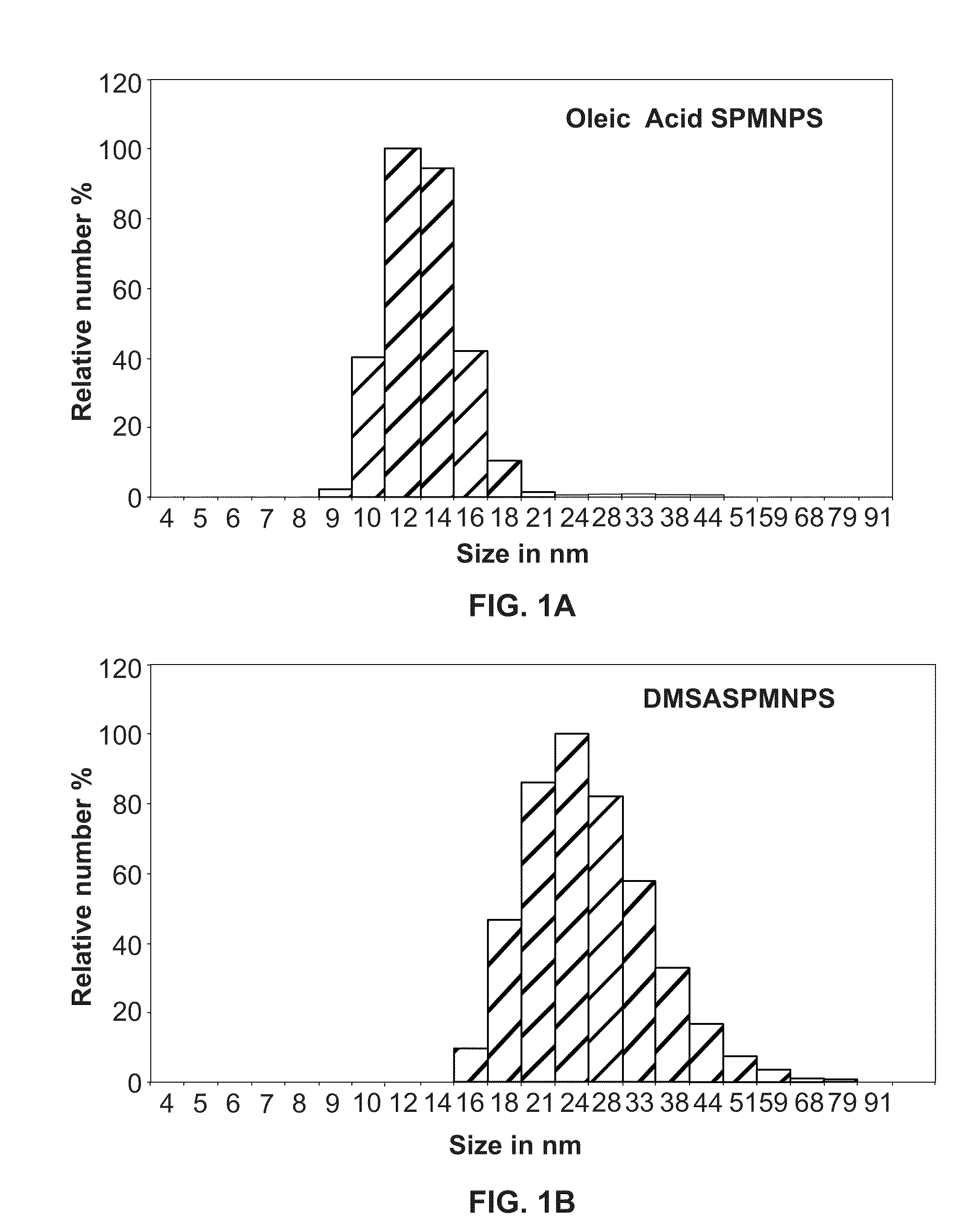 Plasma Membrane Isolation