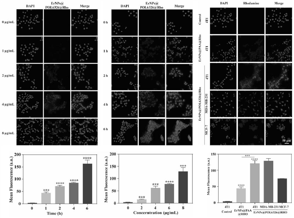 Targeting molecular probe for non-invasive evaluation of sentinel lymph node metastasis of breast cancer