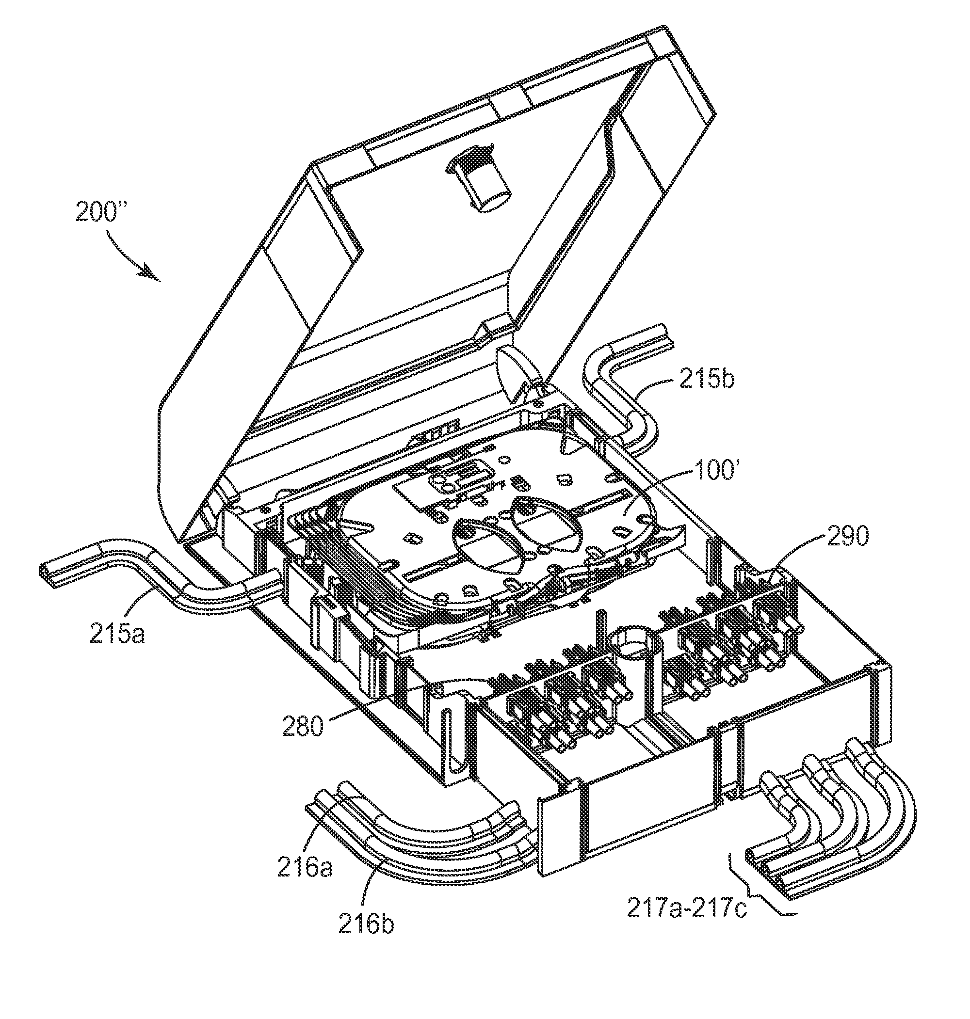 Fiber organizer and distribution box