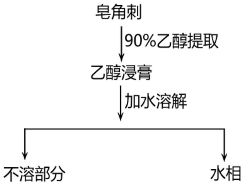 Spina gleditsiae-based bacteriostatic and antiallergic shampoo and preparation method thereof