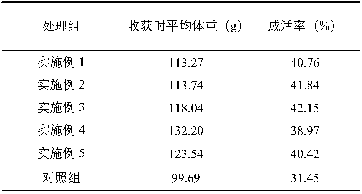 Efficient and pollution-free river crab rice field breeding method