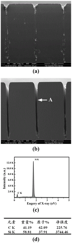 A kind of preparation method of silicon carbide microstructure