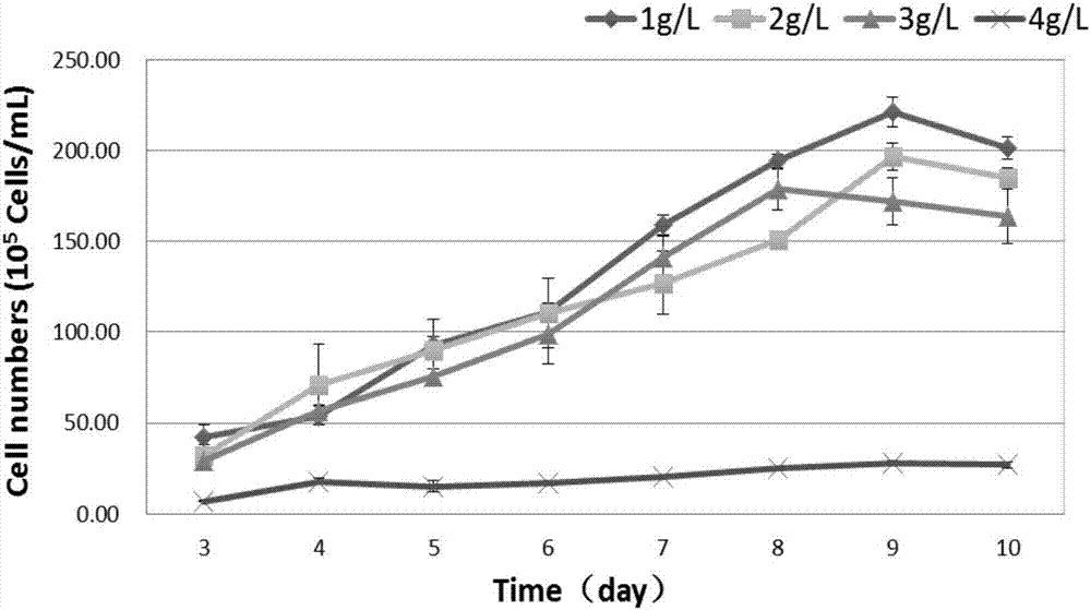 Method for mixed culture of R.salina