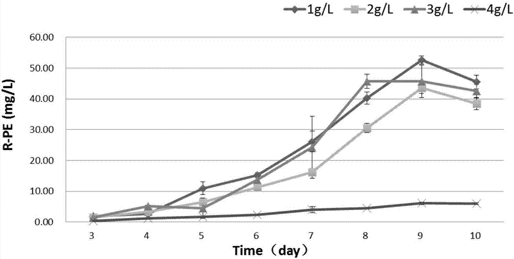 Method for mixed culture of R.salina