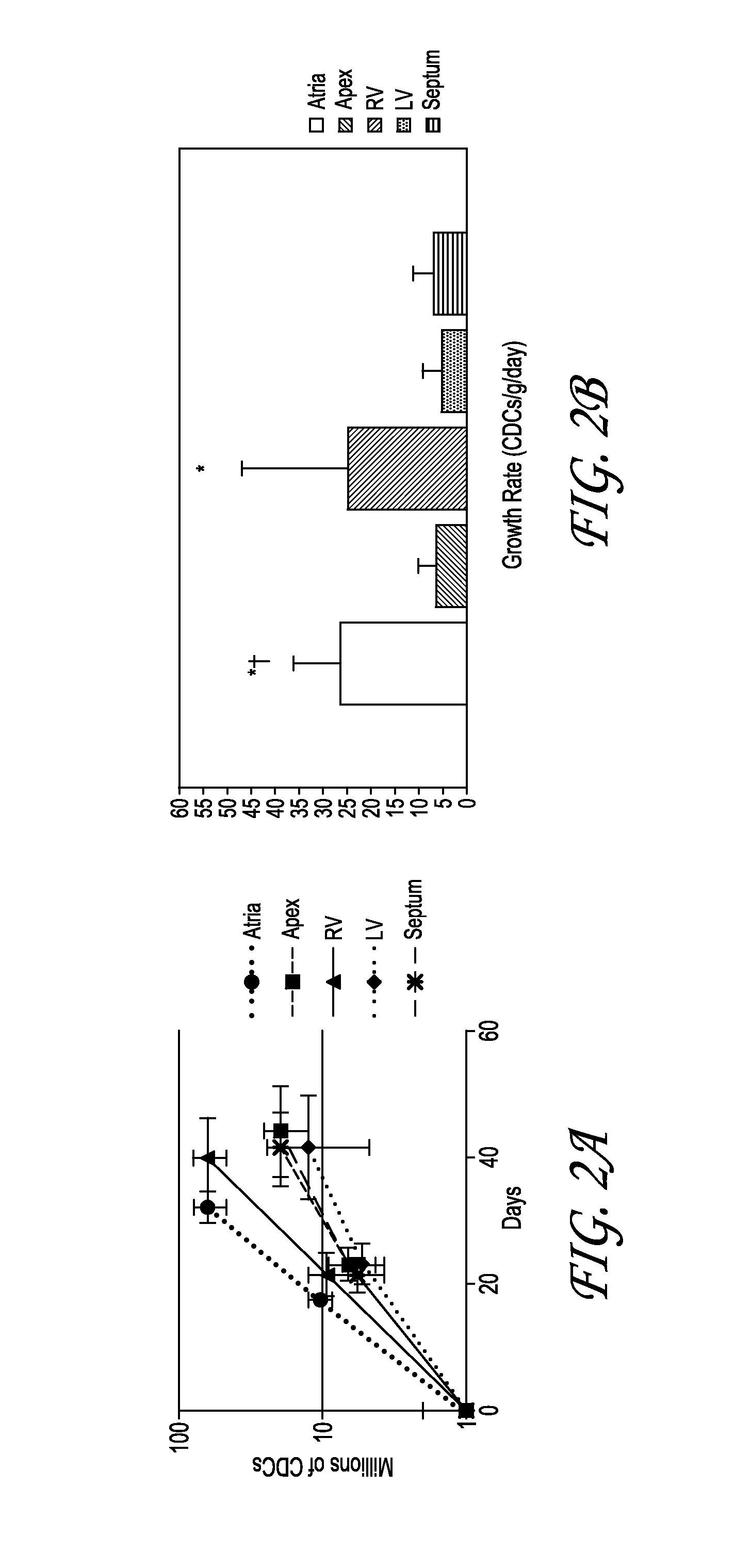 Optimized methods for generation of cardiac stem cells from cardiac tissue and their use in cardiac therapy