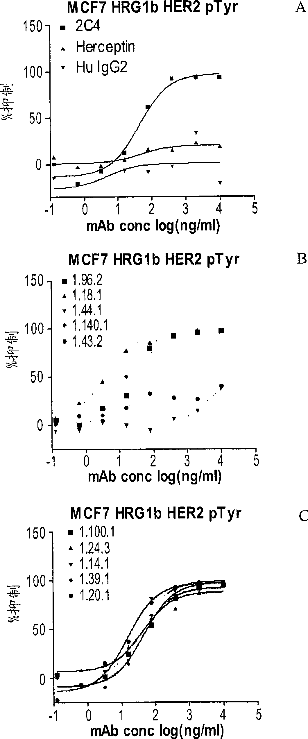 Antibodies to erbb2