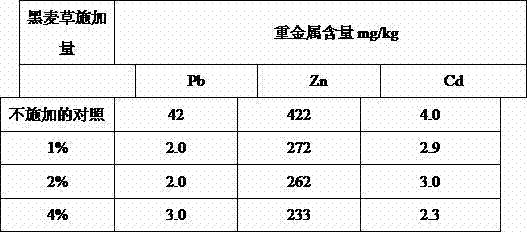 Method for assisting in tailings restoration through ryegrass and planting ryegrass on restored land