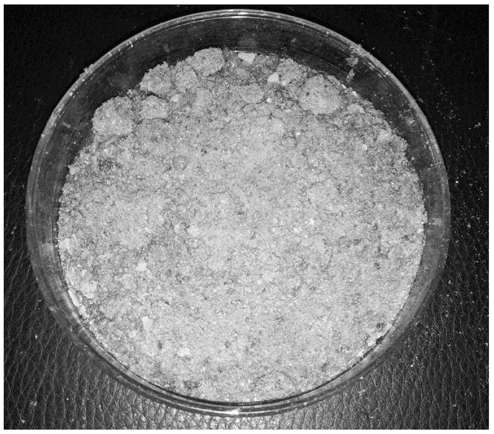 Method for producing selenium-rich grifola frondosa hyphae