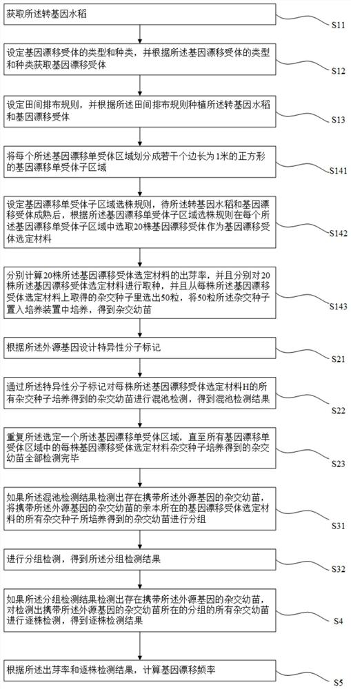 Determination method for gene drift frequency of non-selectable marker transgenic rice