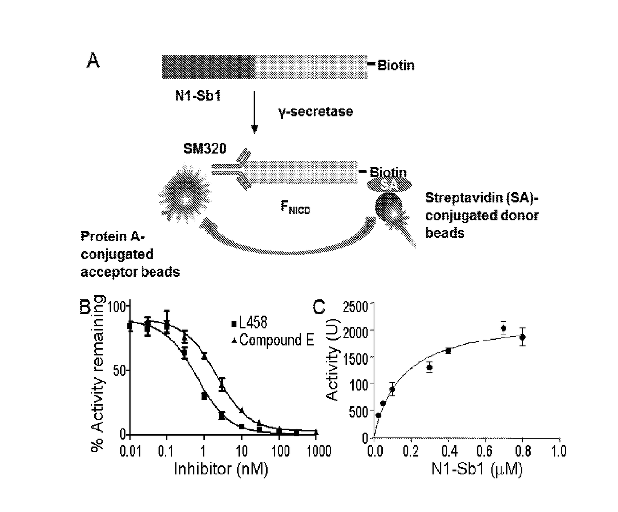 Methods and compositions for gamma-secretase assay