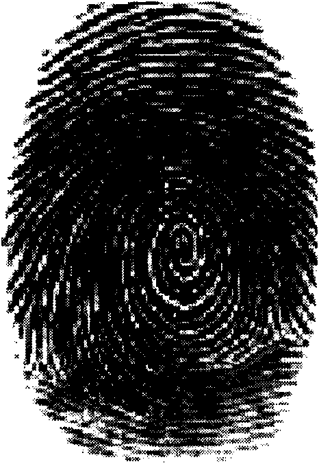 Fingerprint recognition pretreatment method and device