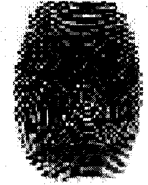 Fingerprint recognition pretreatment method and device