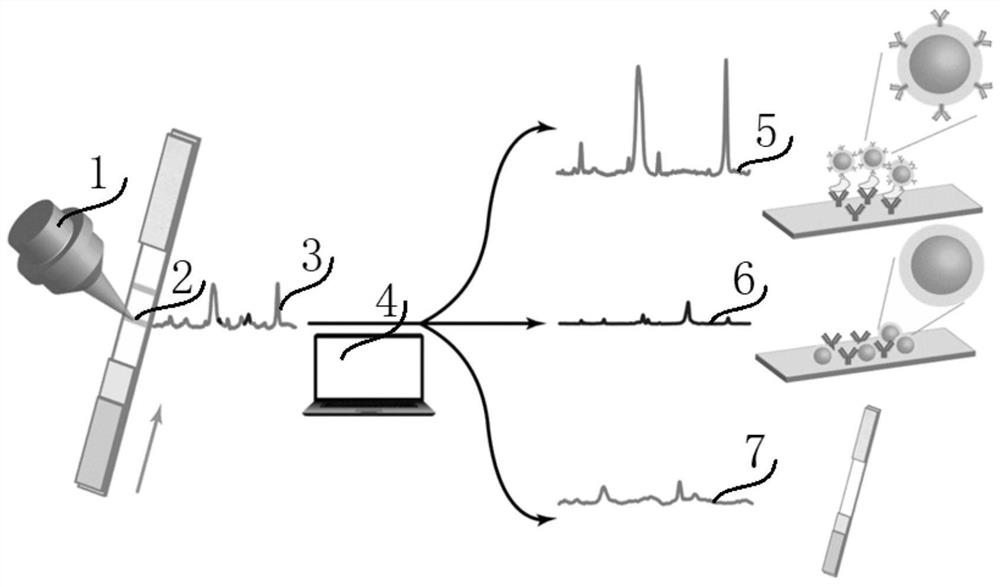 Preparation and application of a highly sensitive lateral flow chromatography immunoassay test paper