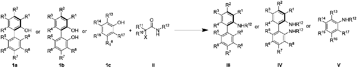 Chiral aromatic amine compounds and preparation method thereof