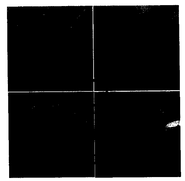 Preparation method of three-dimensional graphene-based foam material