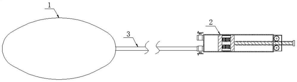 Skin expander applied to elf ear reconstruction and use method of skin expander