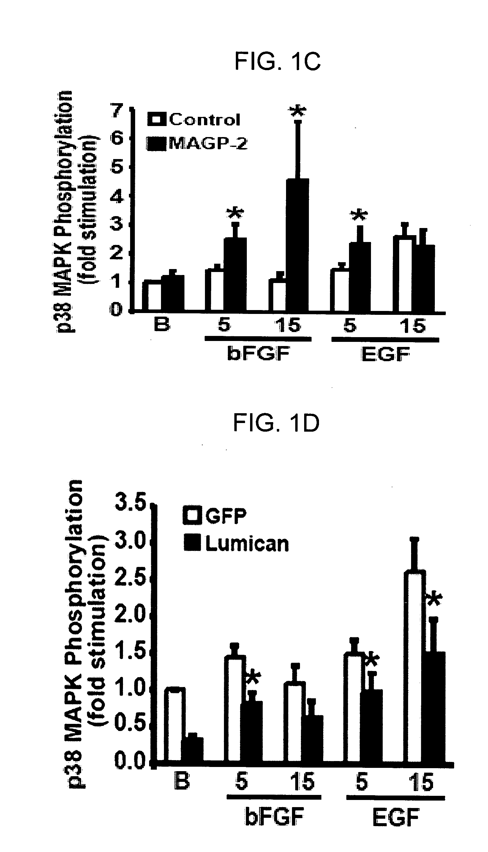 Genes and proteins associated with angiogenesis and uses thereof