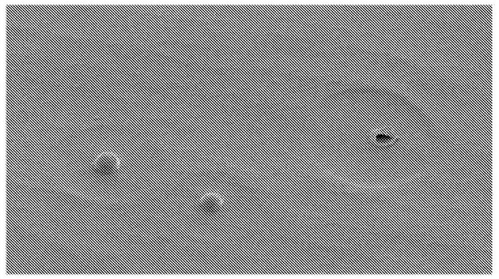 organic polymer particles