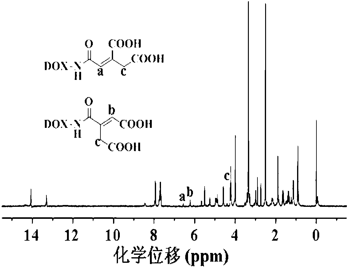 Doxorubicin bonding medicine and preparation method thereof