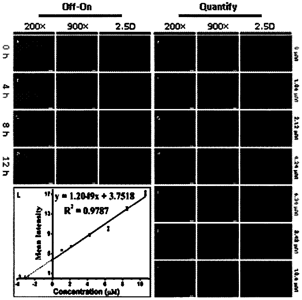 Construction method of ligand-gated diagnosis and treatment system and application of ligand-gated diagnosis and treatment system in real-time tumor response