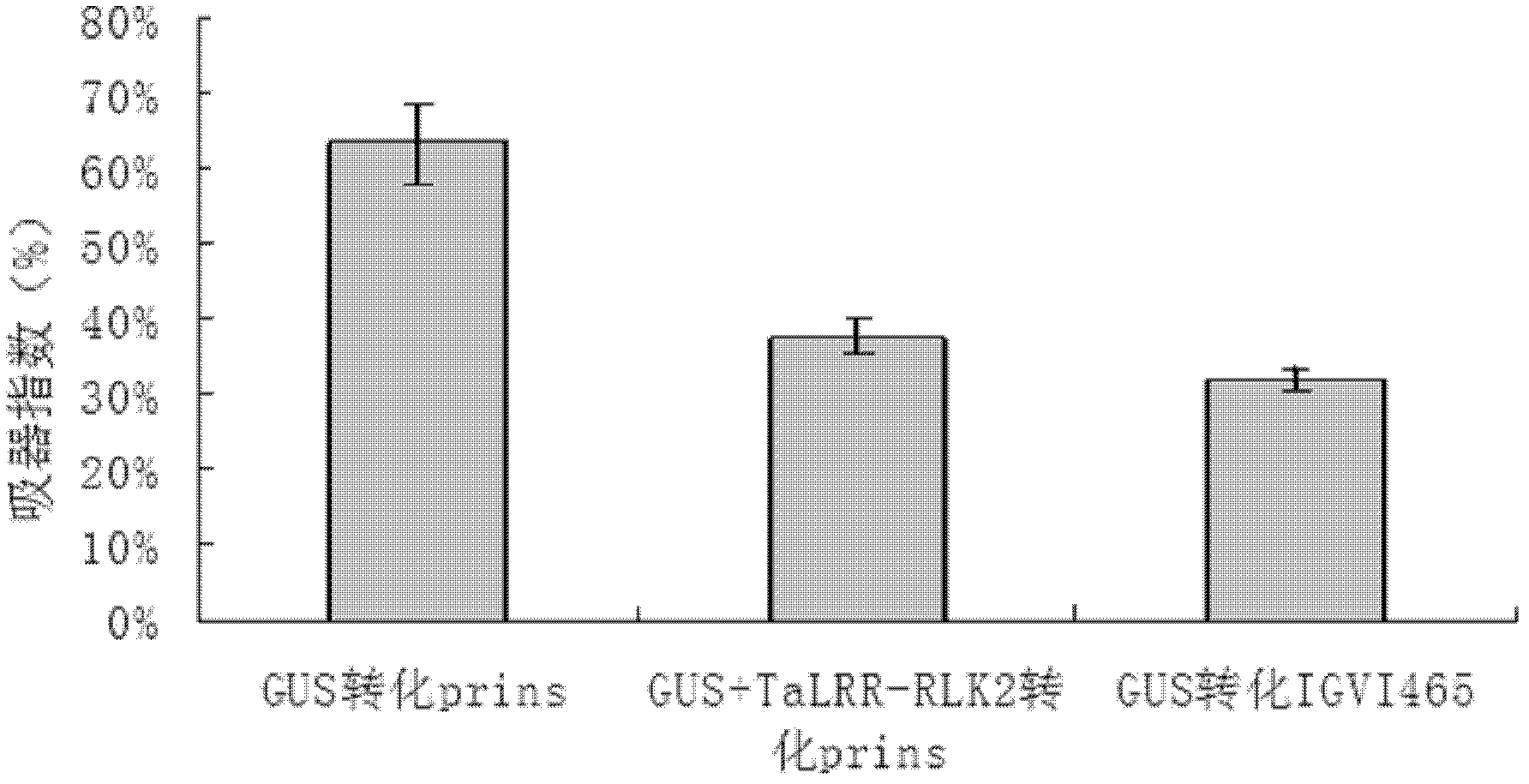 Receptor-like protein kinase gene, and expression vector and application thereof