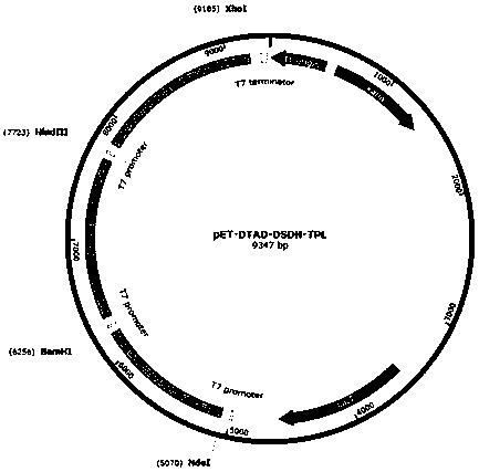 Method for preparing levodopa with one-pot enzymatic method