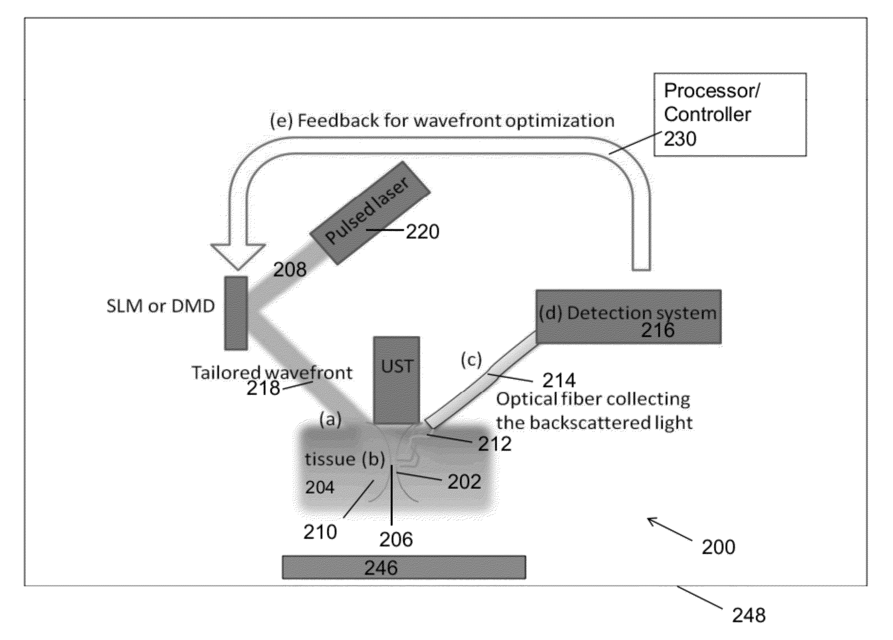 Acoustic-assisted iterative wave form optimization for deep tissue focusing