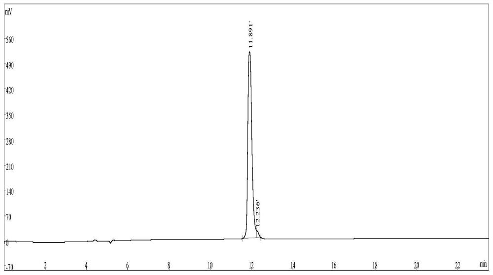 Preparation method and application of interfering peptide targeting SARS-CoV-2 N protein