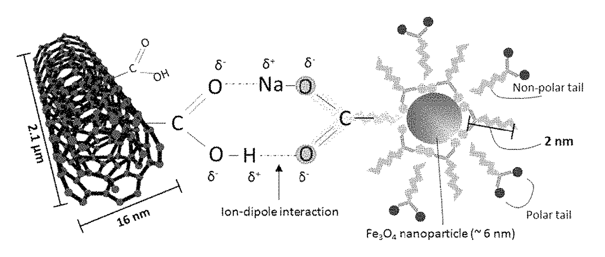 Ferrofluid-MWCNT hybrid nanocomposite in liquid state