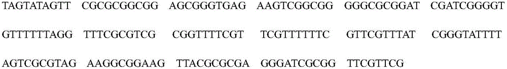 Reagent system and kit for NDRG4 gene methylation detection and application thereof