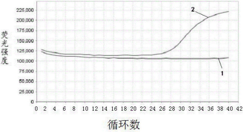 Reagent system and kit for NDRG4 gene methylation detection and application thereof