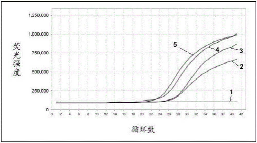 Reagent system and kit for NDRG4 gene methylation detection and application thereof