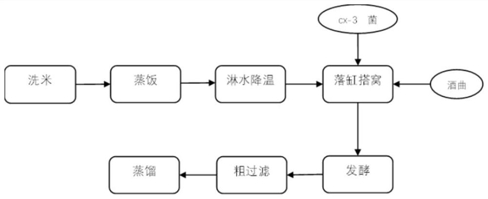 Strain of saccharomycopsis fibuligera cx-3 capable of producing aroma substances at high yield and application of strain