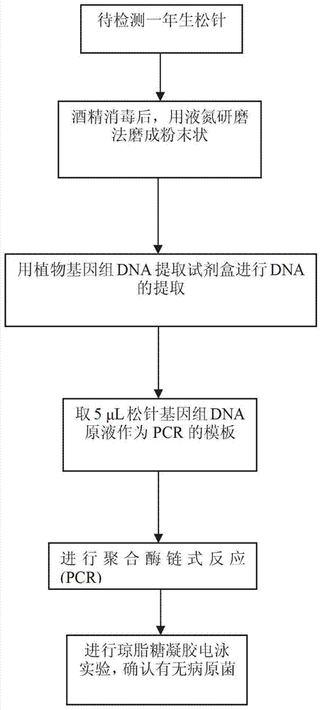 Pestalotia funereal pathogenic bacteria molecule detection kit and use method thereof