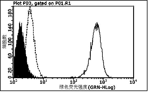 Antibody for resisting to glucagon receptor and use thereof